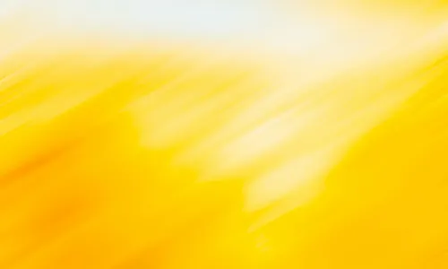 shutterstock_556986634.jpg